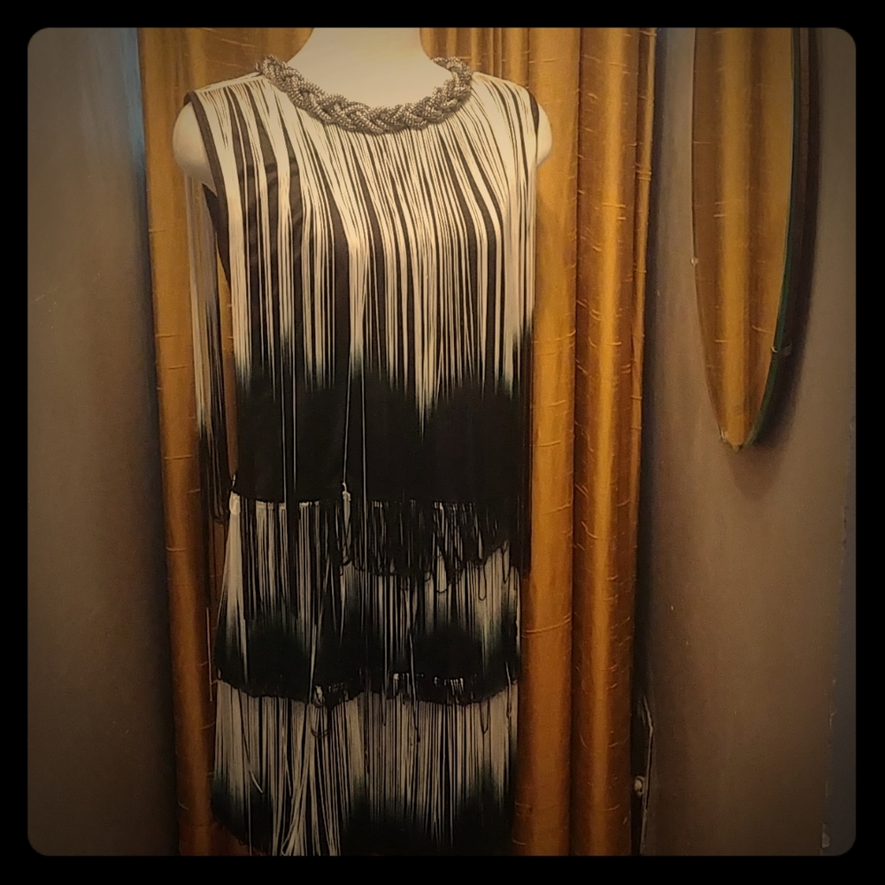Ombre fringe dress